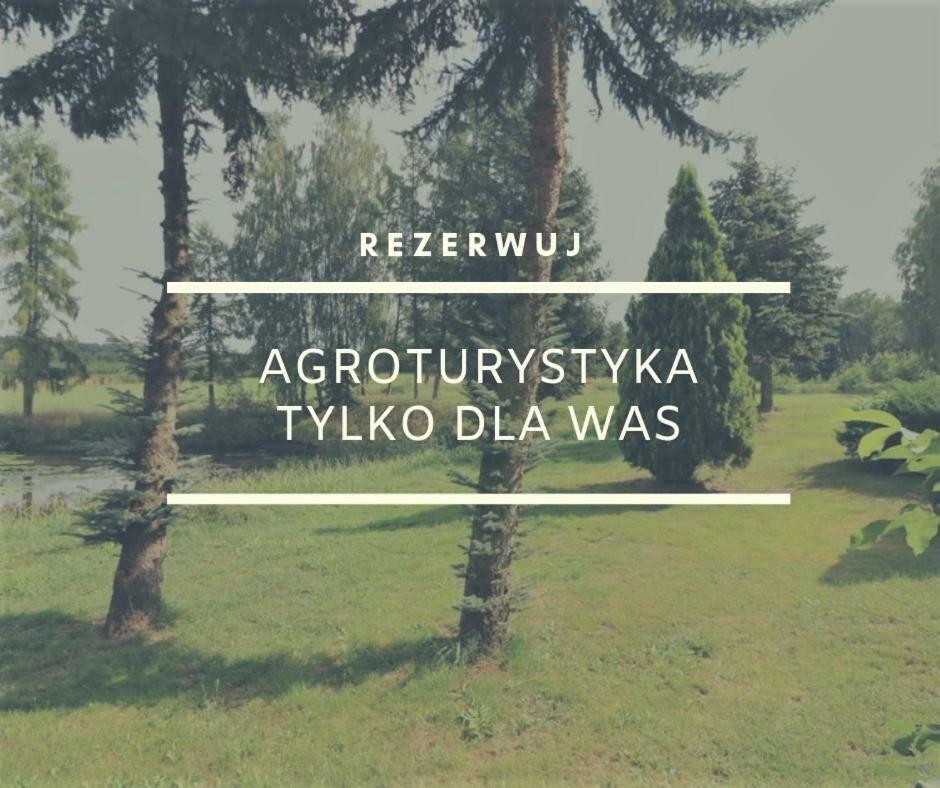 Witaszyn Dom Wakacyjny Z Ogromnym Ogrodem מראה חיצוני תמונה